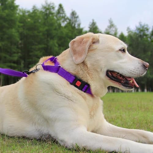 Joytale Martingale Collar for Dogs, Reflective Escape Proof Training Dog Collars with Safety Lock Buckle, No Slip Soft Nylon for Medium Pets, Purple, M by Joytale - Image 6