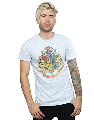 Image of Harry Potter Men's Hogwarts Distressed Crest T-Shirt X-Large Sport Grey