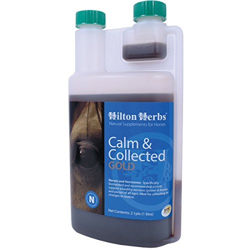 Hilton Herbs Calm and Collected Gold Liquid Herbal Supplement for Nervous/Agitated Horses, 2.1pt Bottle