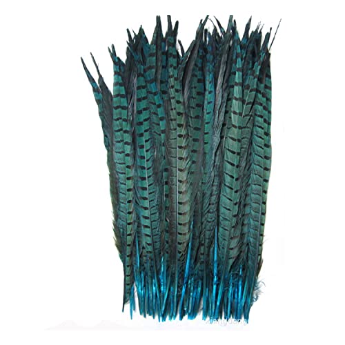 Celine lin 10PCS Natural Pheasant Feathers Pheasant Tails 14-16inch(35-40CM),Lake Blue