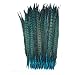 Celine lin 10PCS Natural Pheasant Feathers Pheasant Tails 14-16inch(35-40CM),Lake blue