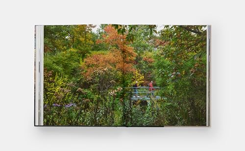 Brooklyn Bridge Park: Michael Van Valkenburgh Associates - Image 6