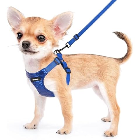Harnais Chien Wdmiya Petit Cover
