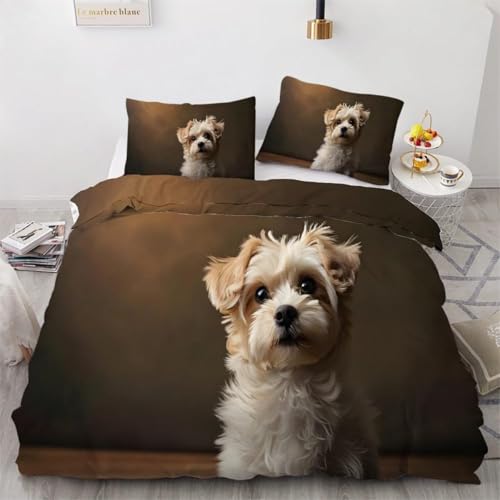 NDXRWDZR Tek Kişilik Nevresim 200 x 200 cm Malta Köpekleri Gizli Fermuarlı Nevresim Takımı Yumuşak Nefes Alabilir Mikrofiber Nevresim Takımı Nevresim Takımı Nevresim Takımı ve 2 Yastık Kılıfı 50 x 80