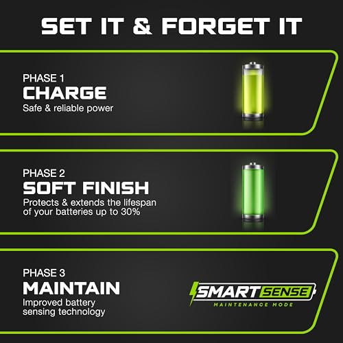 FORM 36 Volt Golf Cart Battery Charger for EZGO TXT Golf Carts with D Style Plug - 36V Lithium, LiFePO4, Lead Acid - Elite Version