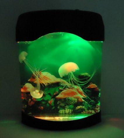雑草 クマノミ アデレード クラゲ 水槽 Amazon Yumekiko Jp