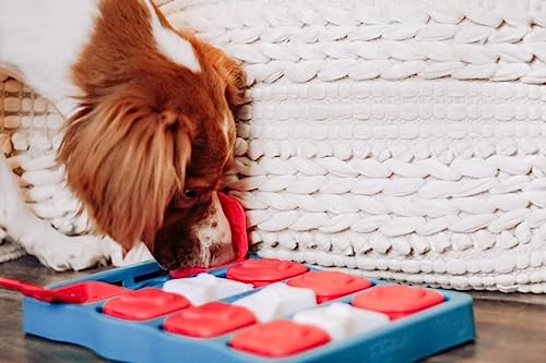 Outward Hound Nina Ottosson Hundespielzeug Intelligenz - Stufe 2 Erfahrene - Leckerli-Spender, Beschäftigung & Intelligenzspielzeug für Hunde & Welpen, bei Langeweile & mentaler Stimulation