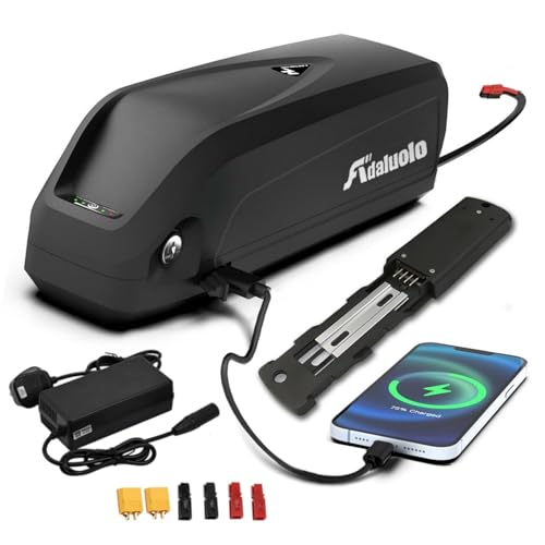 Adaluolo 48V Ebike Akku 13AH Hailong Ebike Batterie Elektrofahrrad Lithium-Ionen Fahrrad Batterien mit Ladegerät, USB-Anschluss, 4 Pin Grundplatte für 500W 750W 1000W Motor