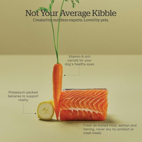 Image of Now Fresh Grain-Free, Dry Dog Food, Real Trout, Salmon and Herring Adult Recipe, All Breed Size, 22 lb Bag