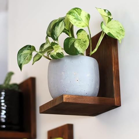 Daniel's Plants Indoor Plant Wall Gallery Shelf Kit | Midcentury Modern Wooden Shelves | Wall Mounted Plant Shelf | L Shaped Floating Shelves | Solid Wood Wall Planter Shelf | 3 Pack (Woodland Brown) Cover
