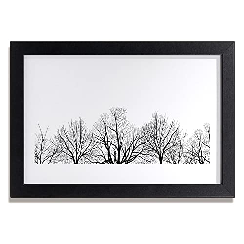 Affiche encadrée 30x20 cm arbres et plantes pour illuminer les murs sombres