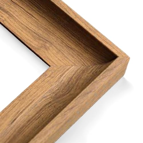 ʗpz Gz F4 TCY i ё ۉ Xg  |c| M[ Wz[ ze VbvW