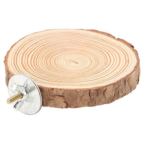 Round Wooden Springboard Stand Toy for Birds Cover