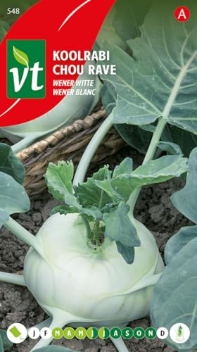Semillas de colinabo blanco Wener - Hortaliza notable con un sabor tierno