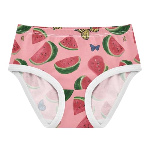 Wusikd Watermelon Butterfly Girls' Underwear Cotton Pink Girls Briefs Soft Toddler Underwear 2T