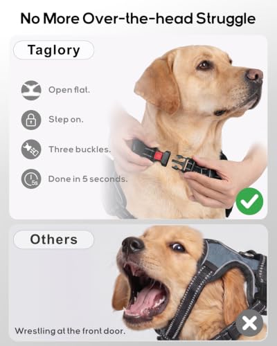 Taglory No Pull Dog Harness for Large Dogs, Bungee Extension, Black, L - Image 2