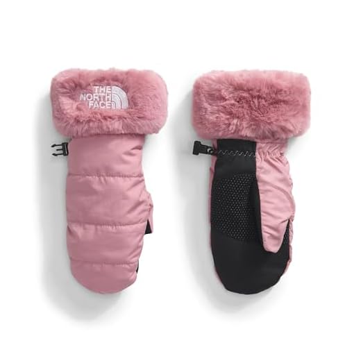 The North Face, Girls, Shasta Mitt, Mauve, XXS