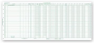 ABC General Expense Journal Accounting Sheets, 25 3/8" X 11" - 15 Sheets