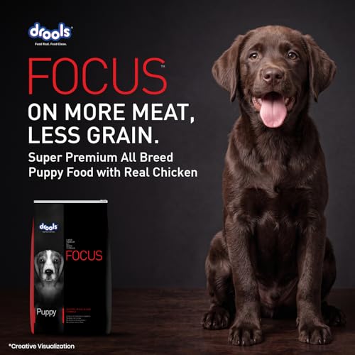 Image of Drools Focus Premium Puppy Dry Dog Food 1.2kg Pack | Chicken Flavour | Growth & Intelligence | Digestive Health | Healthy Skin & Coat | Improves Immunity