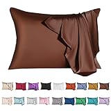 Mulberry Silk Pillowcase for Hair and Skin,Queen Size Cooling Silk Pillow Case with Hidden Zipper,Al