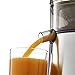 Omega C2100S Juicer with Extra Large Three-Inch Chute Extracts Juice from Whole Foods & Includes A Stainless Steel Filter & High Low Settings, 3-Speed, Silver