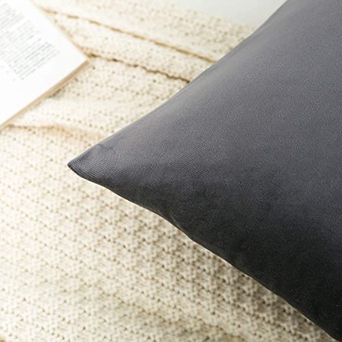 Image of 2 Pcs Reversible Velvet Pillow Covers Throw Pillow Case Soft Cozy Velvet Rectangle Home Decorative Throw Cushion Covers for Couch and Bed, Sofa (16x24 inch, Grey)