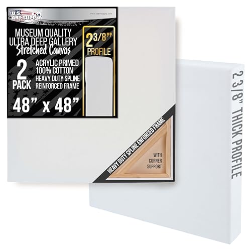 U.S. Art Supply Stretched Canvas for Painting 48 x 48 Museum 2-3/8 Extra Deep Profile 17oz Acrylic Gesso Triple Primed Gallery-Style (2 Pack) 100% Cotton Art Canvases for Painting Epoxy Resin