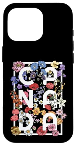 Ji_ [hA[g ^C|OtB {w~A t[fUC - Ji_ X}zP[X iPhone 16 Pro p