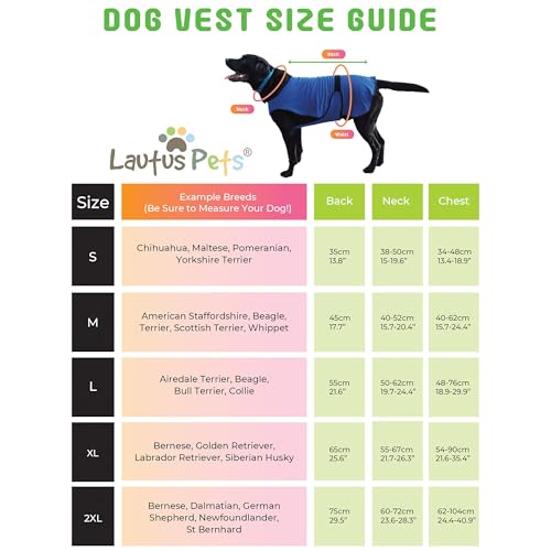 Lautus Pets Hundekühlwesten, Leichte Sommerjacke für Kleine Hunde mit Reißverschluss & Klett, Einfach An-/Auszuziehen für Spaziergänge & Draußen - XXL