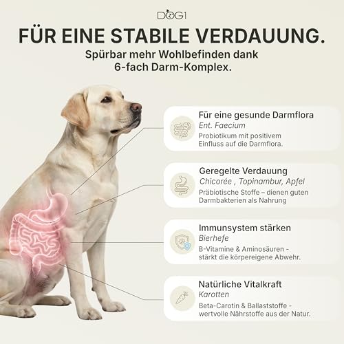 DOG1 Probiotika Pulver für Hunde – Made IN Germany - Unterstützt Darmflora & Verdauung - Probiotika Hund bei Durchfall - Präbiotika & Darmkur Pulver – Von Tierärzten entwickelt - 100g