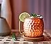 Moscow Mule Mugs Set - 4 Authentic Handcrafted Mugs (16 oz.) with Brass Handle and Shot Glass (2 oz.) - Food Safe Solid Copper - Gift set with Recipe Book Included