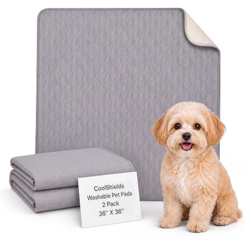 Image of Washable Puppy Dog Pee Pad, 36 inchX36 inch 2pcs Reusable Puppy Pads, Waterproof Whelping Training Mat for Playpen Crate, Floor, Bed,Sofa and Trunk