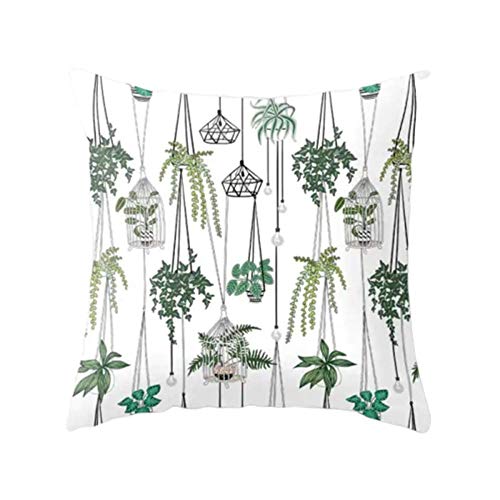 HEELPPO Taie d'oreiller Coussin avec Ensemble De Remplissage Coussins À Motifs Plantes Tropicales Housse De Coussin DéCorative CarréE Coussin d'impression UnilatéRal Respirant Non Inclus 5 Cover