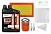 Generac Maintenance Kit for 20kw and 22kw with Oil (2013+ Evolution Models) Model: 0j932300