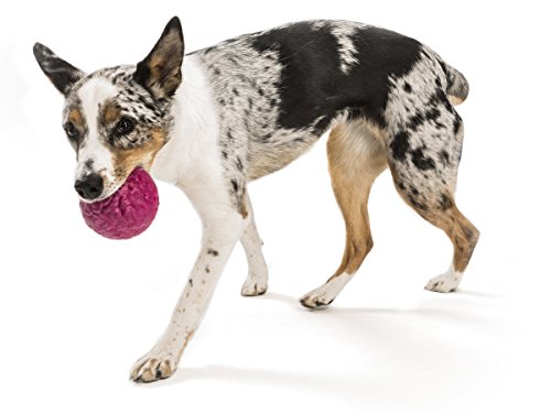 West Paw Zogoflex Air Boz Dog Toy – Floatable Pet Ball for Dogs, Fetch, Play, Chewing – Non-Toxic, Recyclable, Latex-Free Canine Toys – Durable Exterior Texture, Bouncy Squishy Ball, Small, Peacock