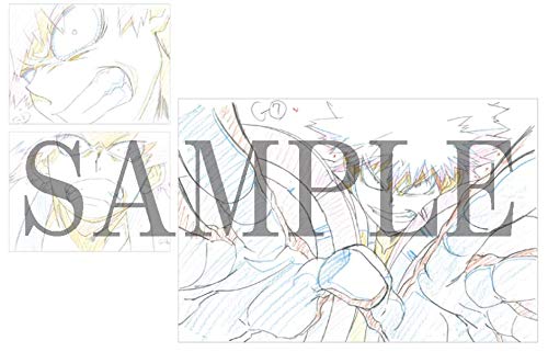 Amazon.co.jp: 