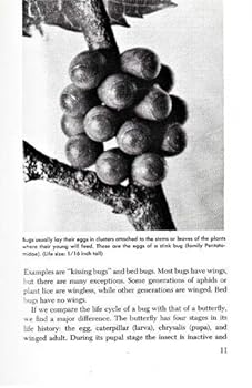 Hardcover The bug clan Book