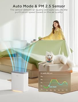 GoveeLife Smart Air Purifier H7124 Bundle with Smart Ice Maker H717D