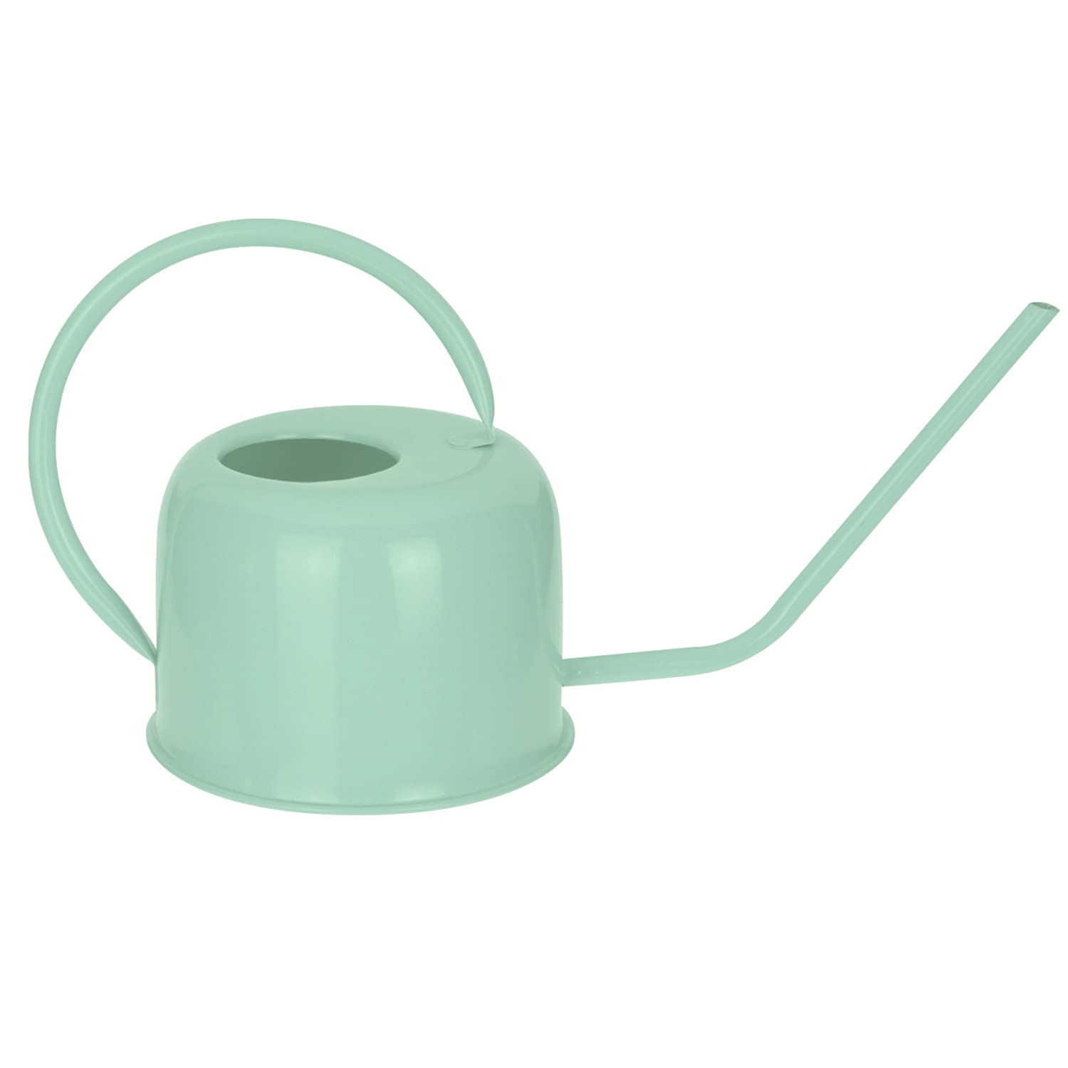 Small Watering Can Metal Long Narrow Spout 1.2L Indoor Outdoor Watering Can Lightweight for Indoor Plants Watering Pot Garden House Home Flowers Hydrate Water Can Gardening Tools (Green)
