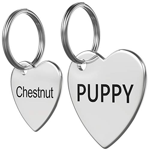 Stainless Steel Pet ID Tag Front and Back Custom for Dog Cat Personalized