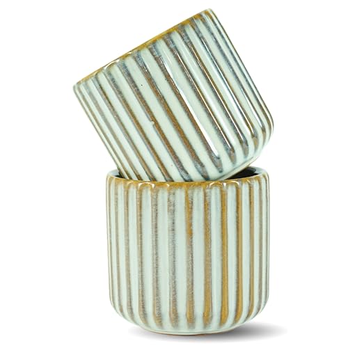 Erkundpresso. - 2 x 180 ml Tazas de Café de Cerámica sin Asa - Tazas de Café para Espresso para agua y té - Resistentes al Calor - Colores Retro - Juego de regalo -Blanco arenque Erkundpresso. - 2 x 180 ml Tazas de Café de Cerámica sin Asa - Tazas de Café para Espresso para agua y té - Resistentes al Calor - Colores Retro - Juego de regalo -Blanco arenque