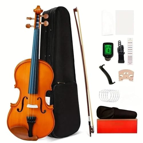Violon professionnel pour debutants et adultes avec etui