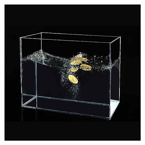Boîte acrylique transparente 60x20x40 mm pour réservoir d'eau et photographie