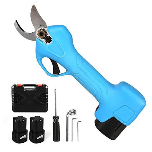 QYTOOL Cordless Electric Pruning Shears with 1 Inch Cutting Diameter, Pruning Shears Battery Powered, Electric Pruner with 2 Ah Rechargeable Battery and Matching Tools(Blue)