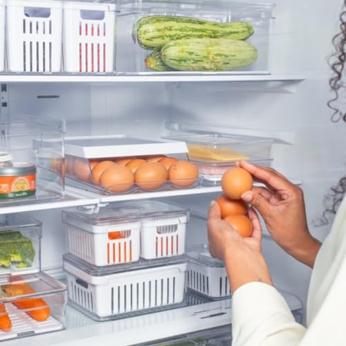 OU ORGANIZADOR DE OVOS ROLL CLEAR FRESH 21 UNID.