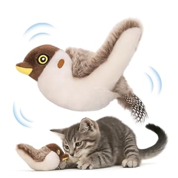 Bird Toys That Reduce Screaming: Which Ones Truly Work? 2 bird toys that reduce screaming