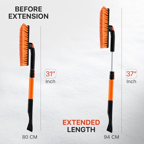 image for Utopia Home 31