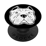 pitbull bully xl mix Pitbull, matón, lindo Pitbull, cabeza de pitbull, perro Pitbull, amante de los perros, amante de Pitbull, raza matón