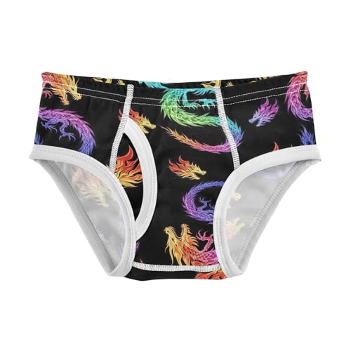 CHIFIGNO Boys' Underwear Cotton Briefs Soft Breathable Little Boys Underwear Briefs, Colorful Dragons Black
