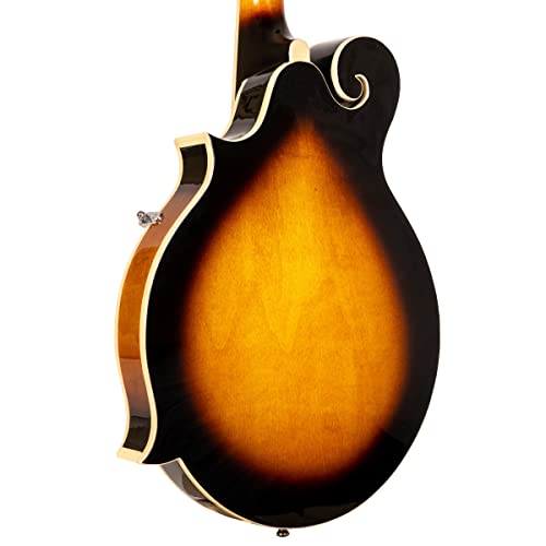 Gold Tone Gm-35 F-Style Mandolin #TOP7